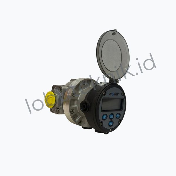 Flowmeter FLOMEC OM025A001-821R5 1 Inch RT14